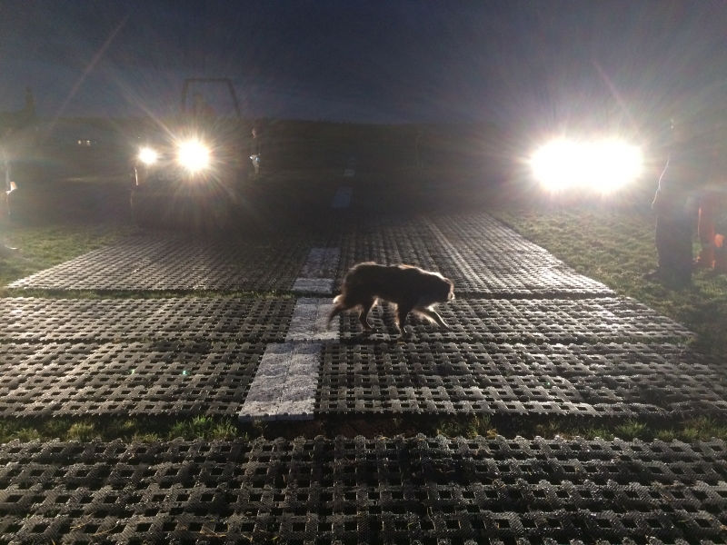Perfo Runway Install (2016/17)