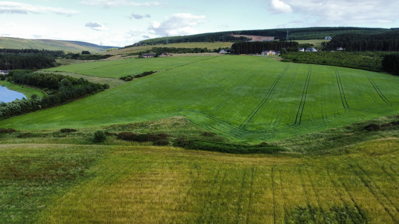 Emergency Landout Fields